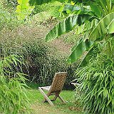 Jardin exotique
